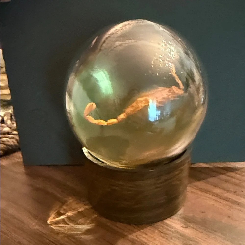 Luxurious Gold Fish Globe with Wooden Base